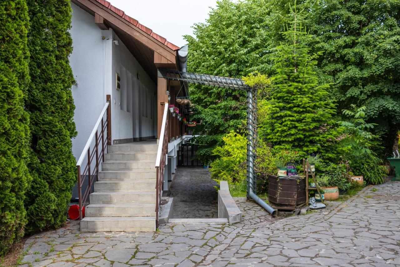 Pensiunea 7 Tei Cisnădioara Exterior photo