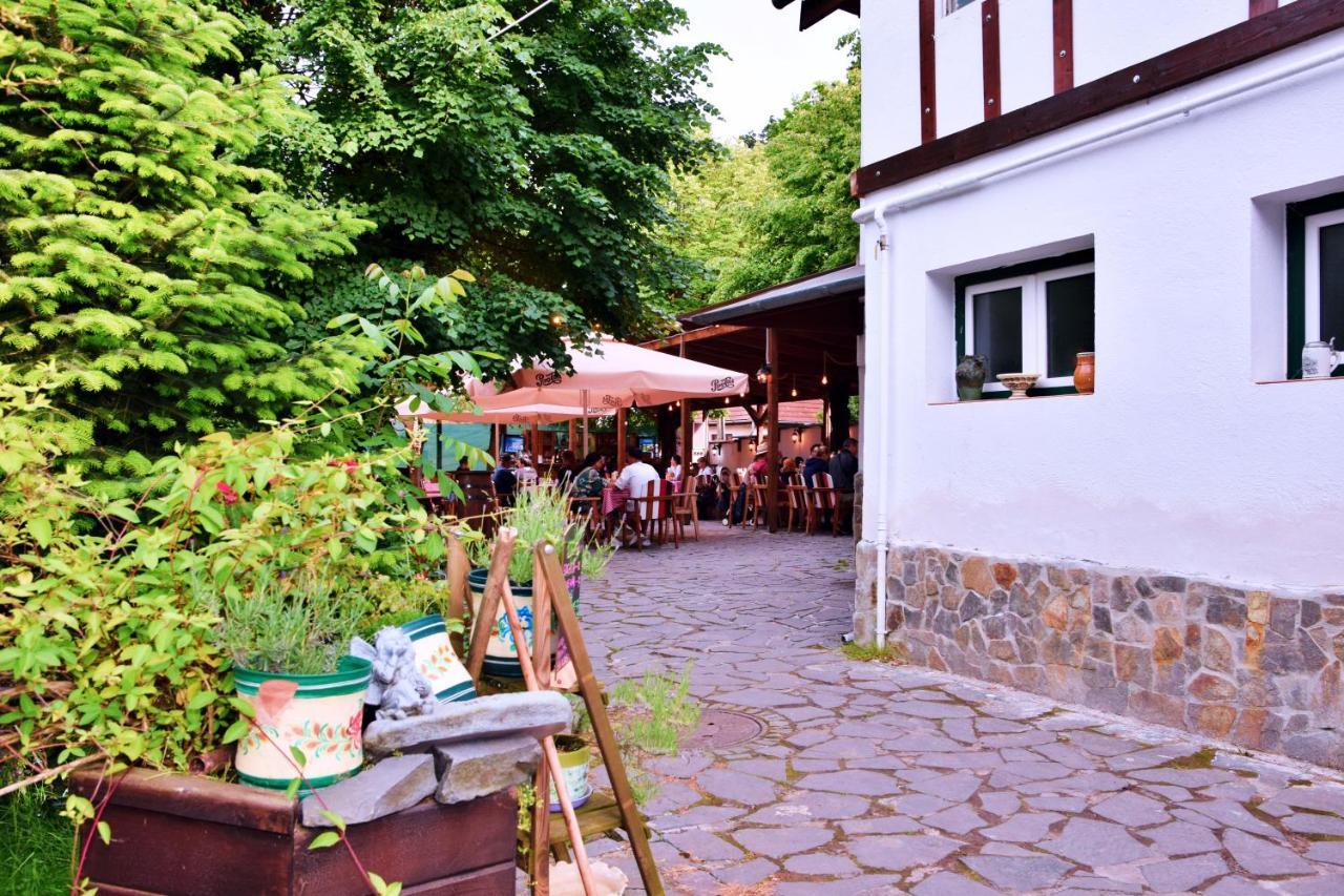 Pensiunea 7 Tei Cisnădioara Exterior photo