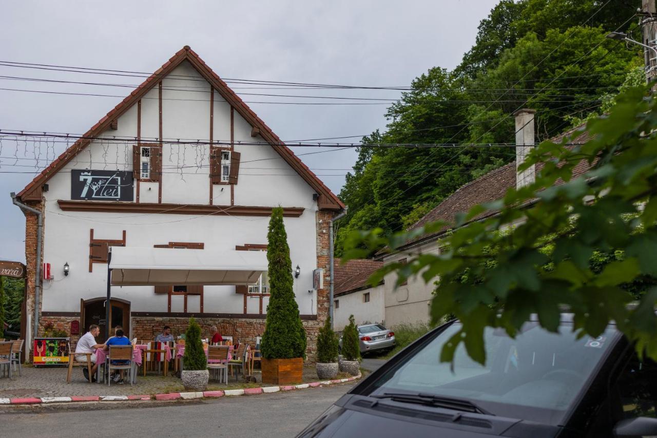 Pensiunea 7 Tei Cisnădioara Exterior photo