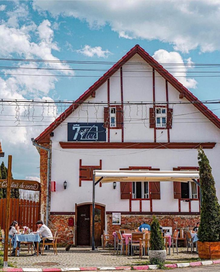 Pensiunea 7 Tei Cisnădioara Exterior photo